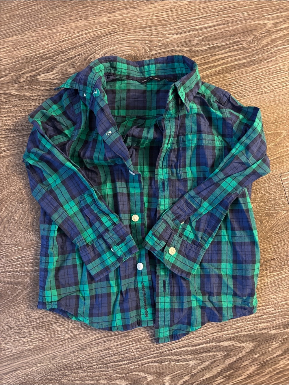 Janie and Jack Green & Blue Plaid Button-Down Shirt
